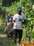 la telecamera di rai3 tra i vigneti della franciacorta