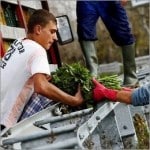 immigrati occupati in agricoltura