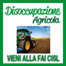disoccupazioni agricole alla Fai Cisl di Brescia