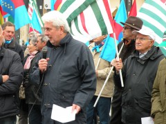 (1) presidio dei pensionati - Brescia 20.11.2014