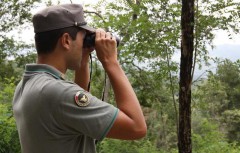 corpo forestale dello stato