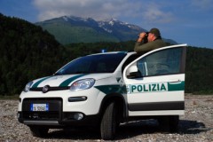 polizia provinciale - controlli