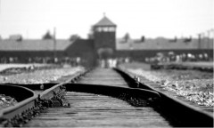 La Bahnrampe, la rampa dei treni, all'interno del campo di Birkenau dove, dal 1944, arrivavano i convogli dei deportati