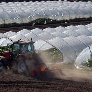 Operai agricoli: avviata la trattativa per il nuovo contratto provinciale